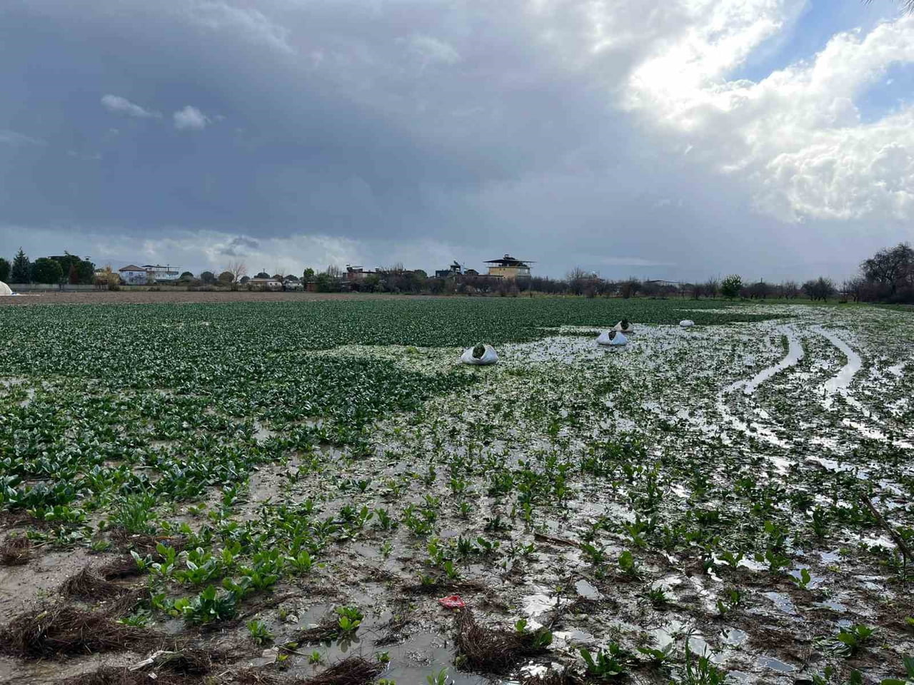 AYDIN’IN İNCİRLİOVA İLÇESİNDE ETKİLİ OLAN SAĞANAK YAĞIŞ, GÜNLÜK YAŞAMI OLUMSUZ ETKİLEDİ. KISA...