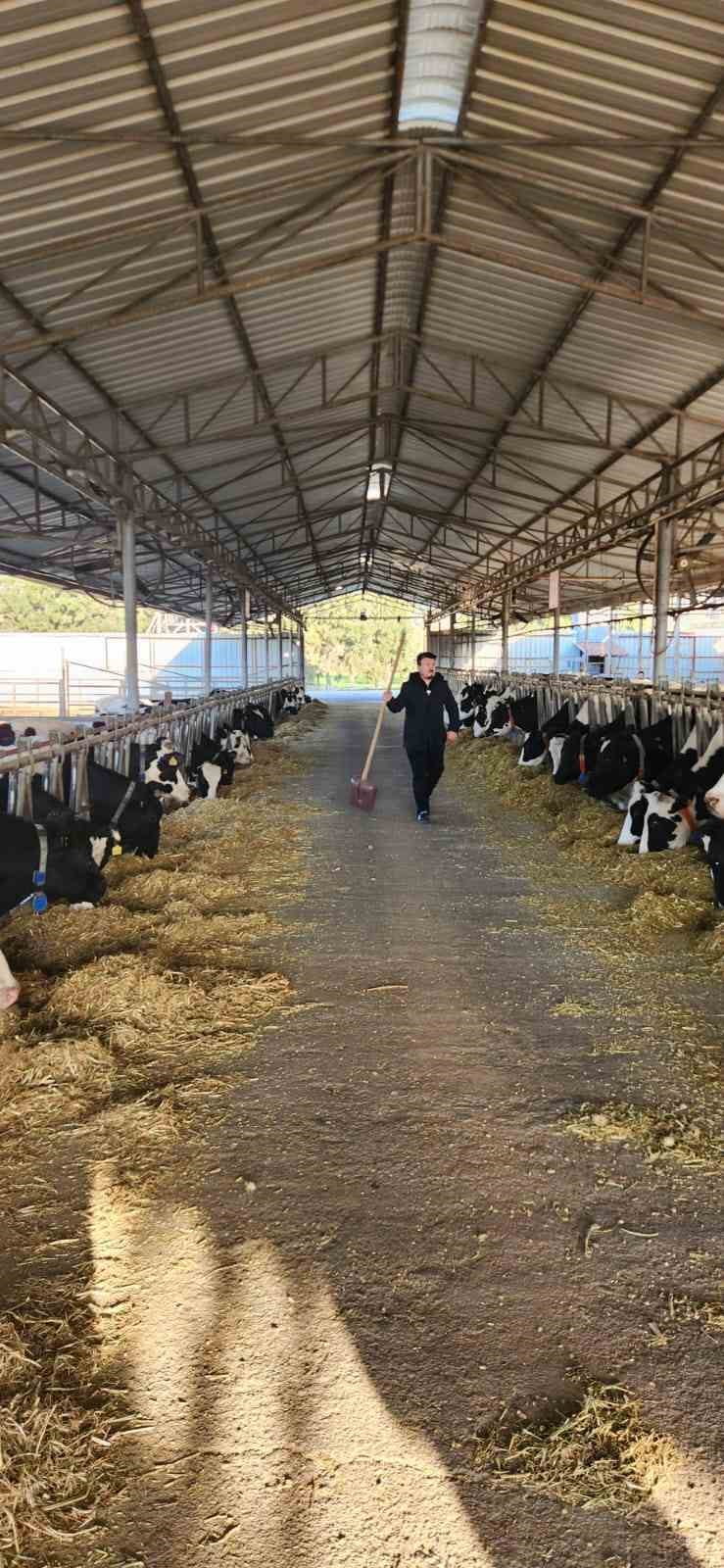 AYDIN’IN SÖKE İLÇESİNDE BULUNAN TARIM VE HAYVANCILIK EĞİTİM MERKEZİ’NDE (TAYEM), HASTALIKTAN ARİ...