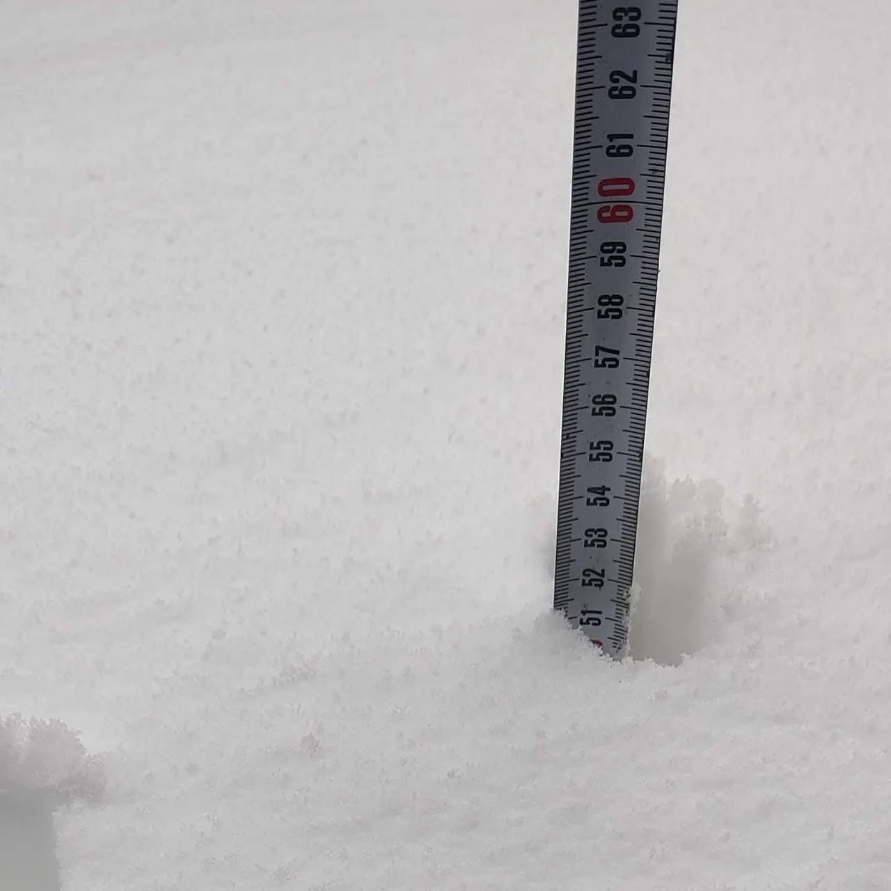 AYSERİ'DE ETKİLİ OLAN KAR YAĞIŞI SONRASINDA DEVELİ VE TOMARZA İLÇELERİNDE KAR KALINLIĞI 50 SANTİMİ...