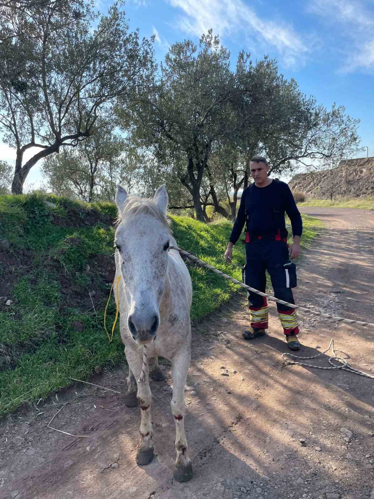 AYVALIK’TA İTFAİYEDEN AT KURTARMA OPERASYONU