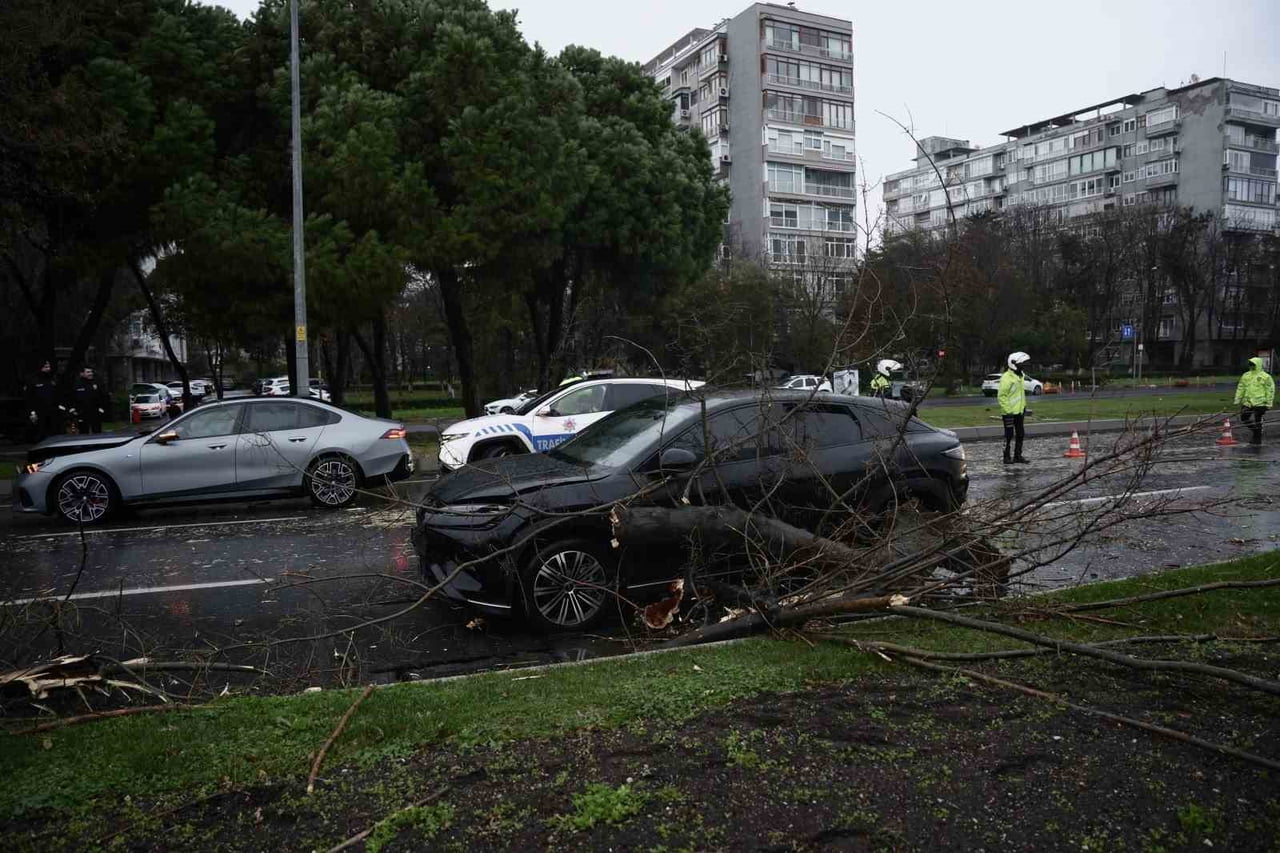 BAKIRKÖY SAHİL YOLUNDA ETKİLİ OLAN ŞİDDETLİ FIRTINA NEDENİYLE BİR AĞAÇ 4 ARACIN ÜZERİNE DEVRİLDİ....