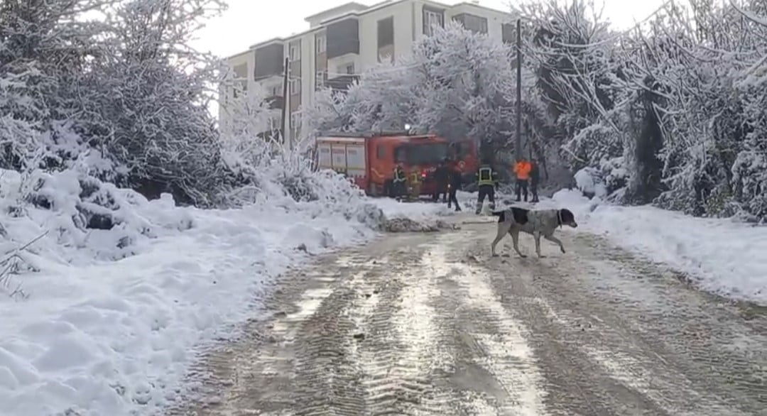 BARTIN'DA BELEDİYEYE AİT ÇÖP KAMYONUNUN KARLI YOLDA KAYMASI SONUCU ARAÇ İLE TOPRAK ZEMİN ARASINDA...