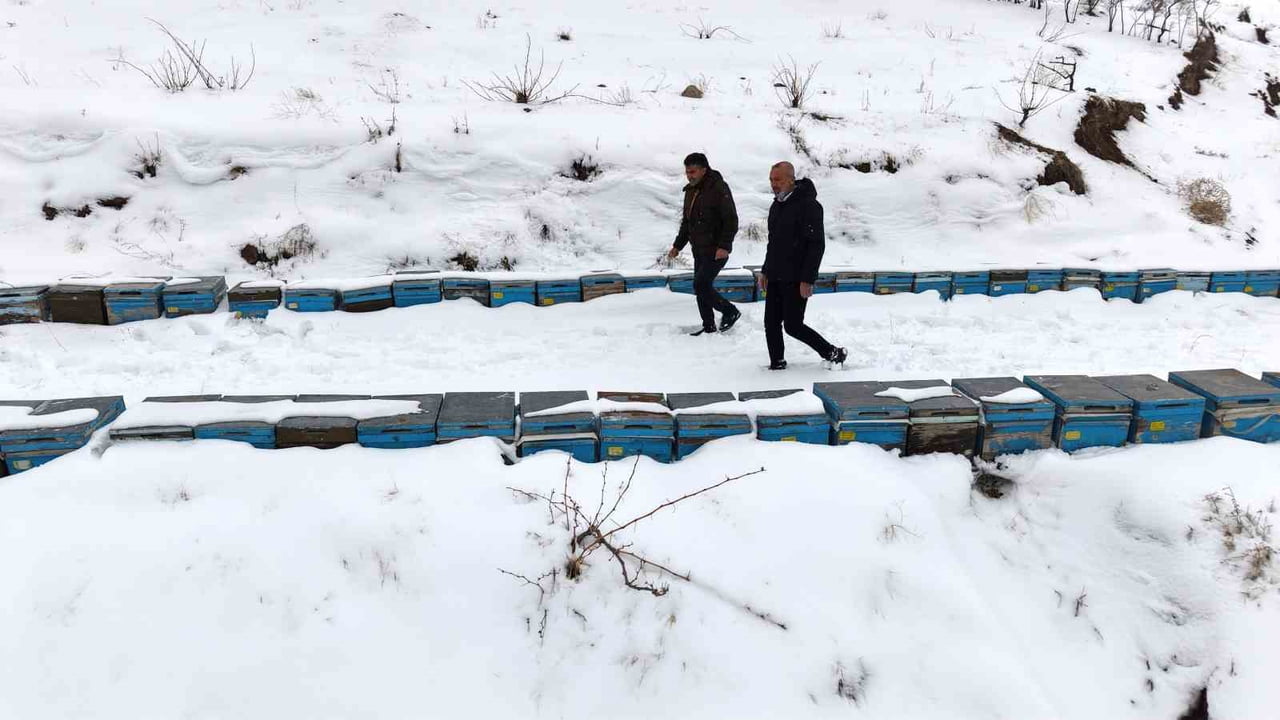BAŞKAN FIRAT CANBAY VE ARICININ, KOVANLARI AÇMASI ARILARA BAKMASI