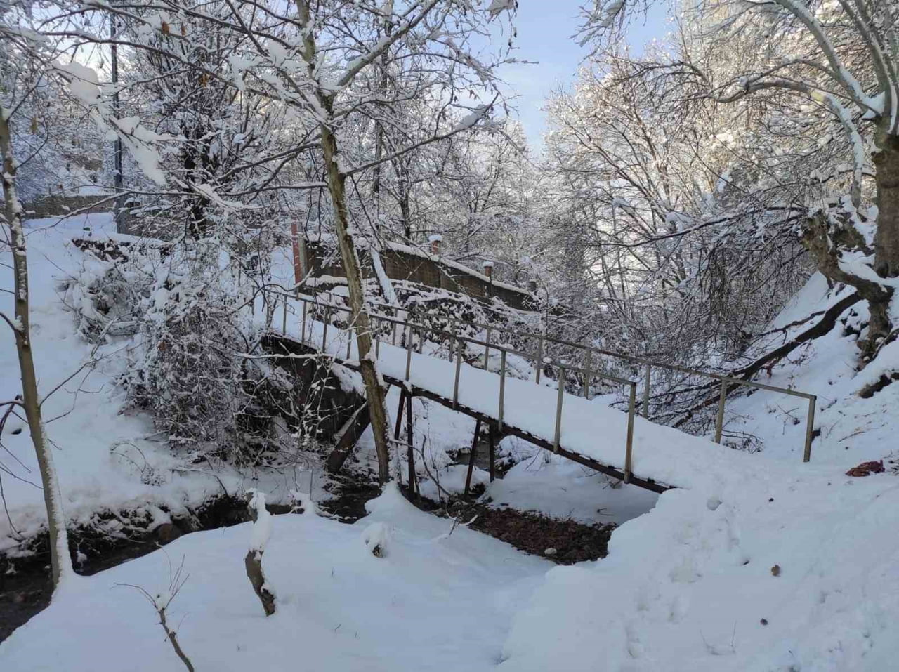 BATMAN’DA KAR YAĞIŞI BEYAZ ORMAN MANZARALARI OLUŞTURDU