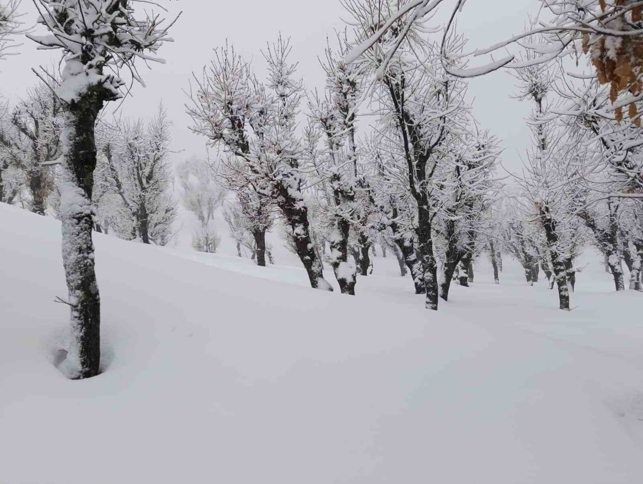BATMAN’DA KAR YAĞIŞI NEDENİYLE HASTA KEPÇE İLE TAŞINDI