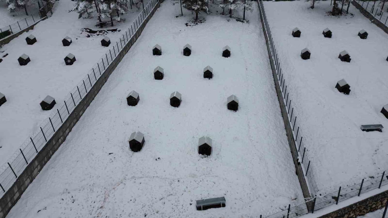 BATTALGAZİ’DE MALATYA’NIN İKİNCİ HAYVAN BARINAĞI HİZMETE BAŞLADI