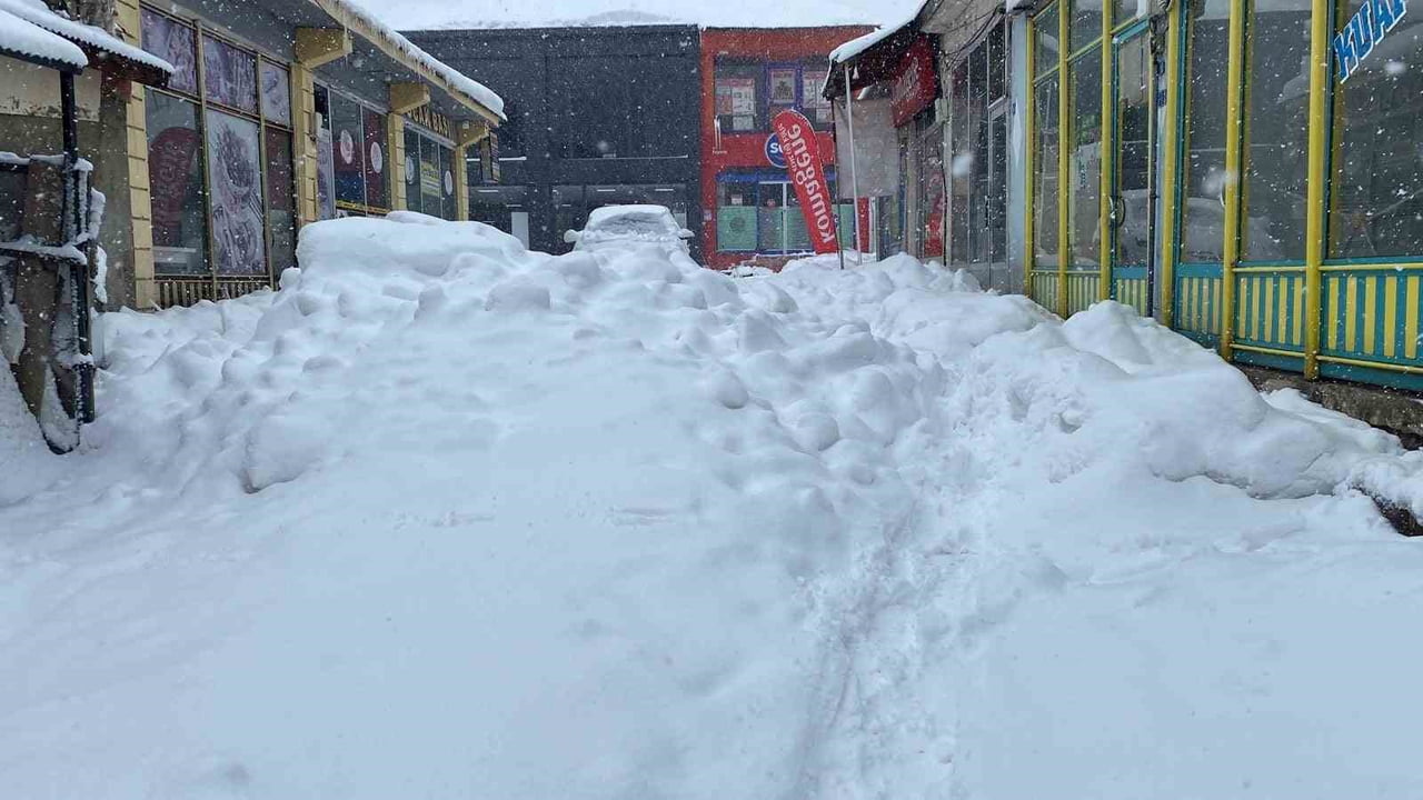 BİNGÖL'ÜN KARLIOVA İLÇESİNDE KAR YAĞIŞI TEKRAR BAŞLADI.