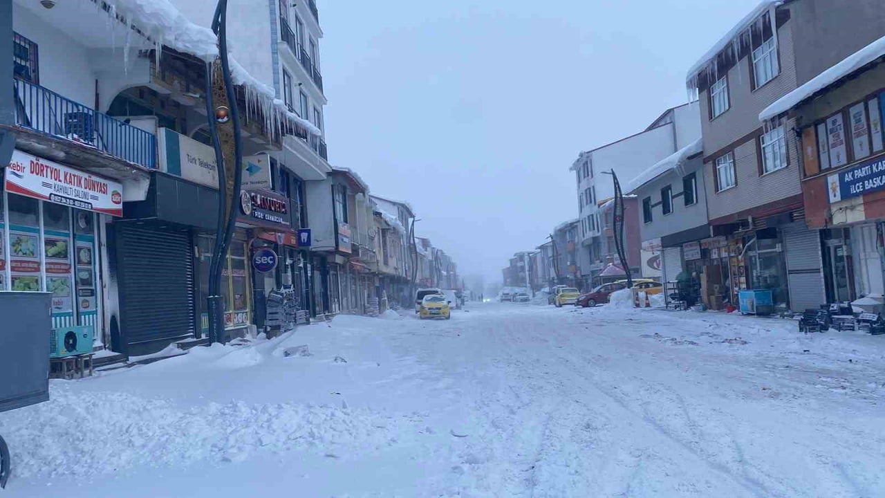 BİNGÖL’ÜN KARLIOVA İLÇESİNDE ETKİLİ OLAN KAR VE DONDURUCU SOĞUKLARA BİRDE  TİPİ VE FIRTINA...