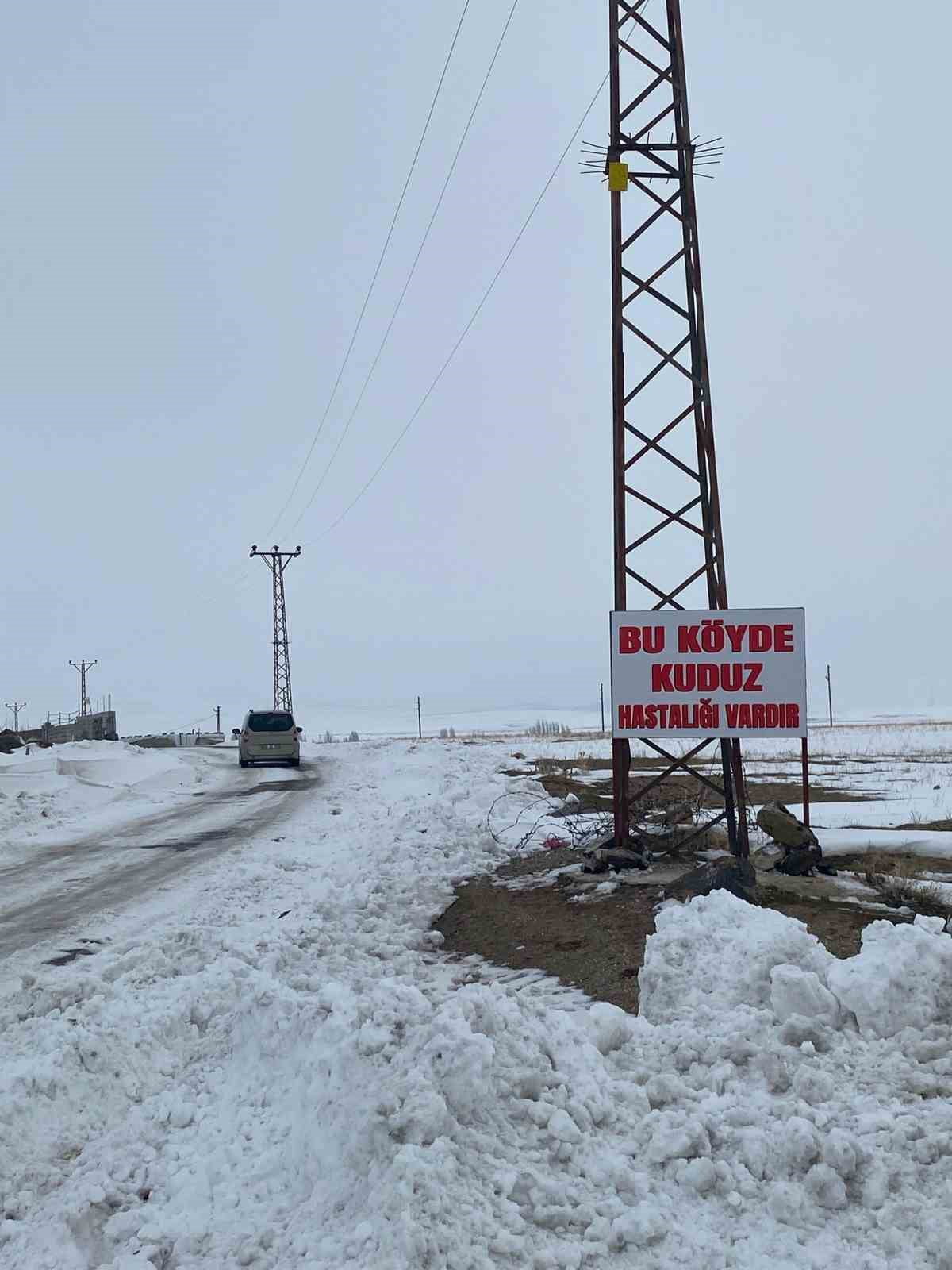 BİTLİS'İN ADİLCEVAZ İLÇESİNE BAĞLI KÖMÜRLÜ KÖYÜ, KUDUZ NEDENİYLE KARANTİNAYA ALINDI.