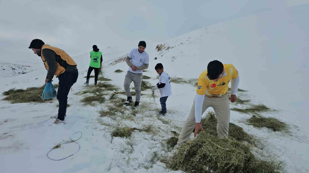BİTLİS’İN ADİLCEVAZ İLÇESİNDE DOĞA VE HAYVAN HAKLARI SAVUNUCULARI, KIŞ ŞARTLARININ AĞIRLAŞMASIYLA...