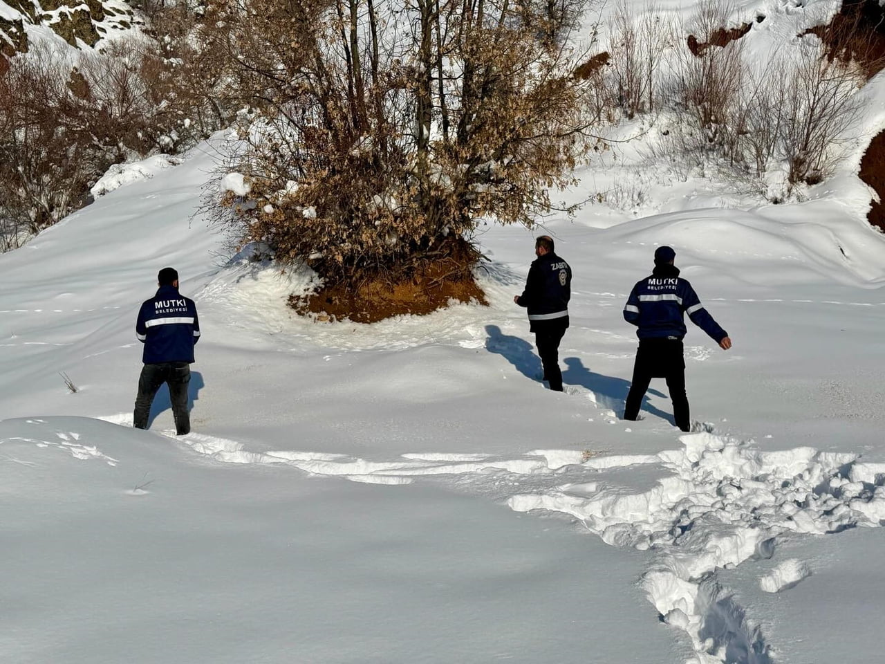 BİTLİS’İN MUTKİ İLÇESİNDE ETKİLİ OLAN YOĞUN KAR YAĞIŞI VE DONDURUCU SOĞUKLAR, YABAN HAYATINI DA...