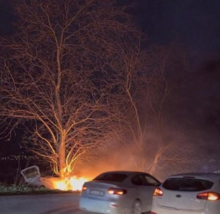 BURSA'DA KONTROLDEN ÇIKAN OTOMOBİL AĞACA ÇARPTIKTAN SONRA ALEV ALDI VATANDAŞLAR TÜPLER İLE...