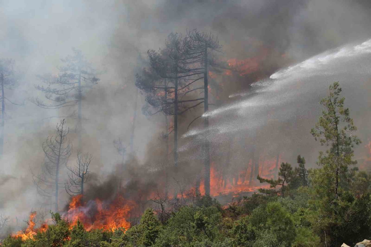 BURSA'NIN HARMANCIK VE ORHANELİ İLÇELERİNDE GEÇTİĞİMİZ YIL TEMMUZ AYINDA ÇIKAN ORMAN YANGINLARINDA...