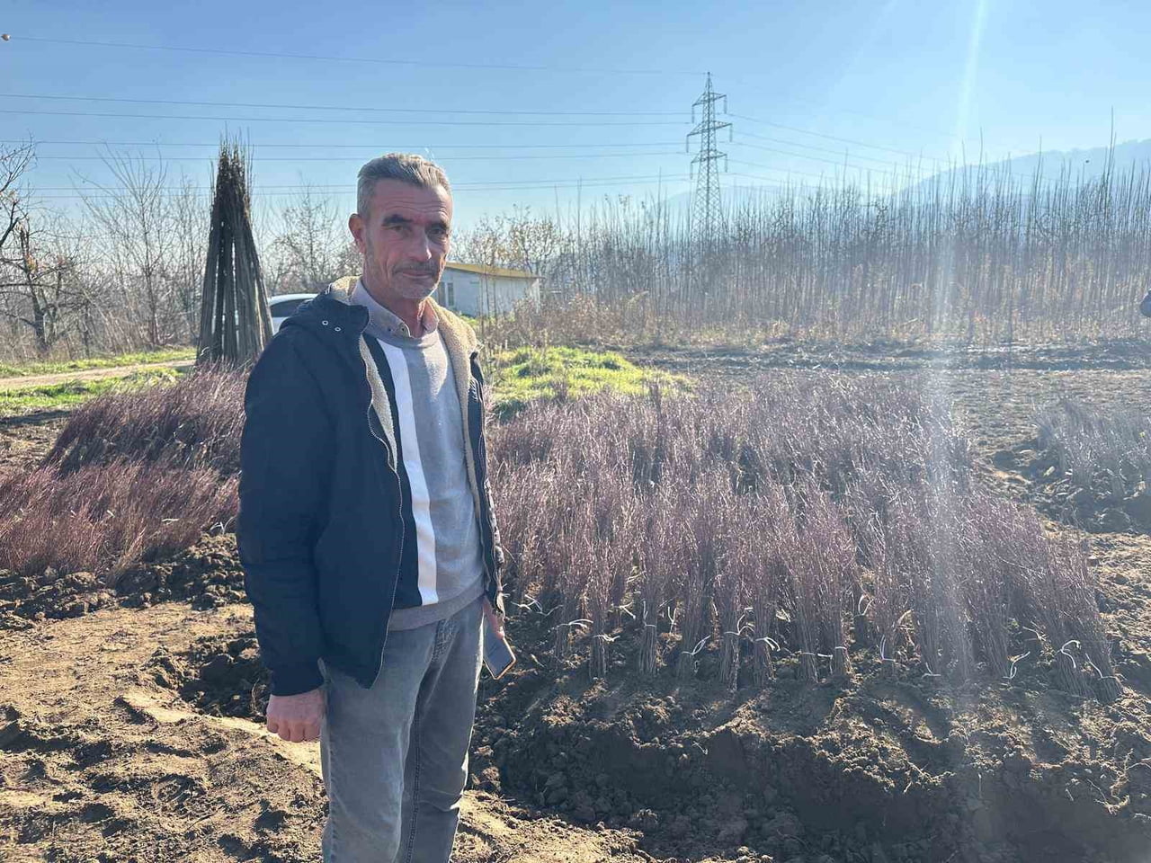 BURSA'NIN İNEGÖL İLÇESİNE BAĞLI KIRSAL CERRAH MAHALLESİ'NİN, YILDA YAKLAŞIK 15 MİLYON TOHUMDAN...