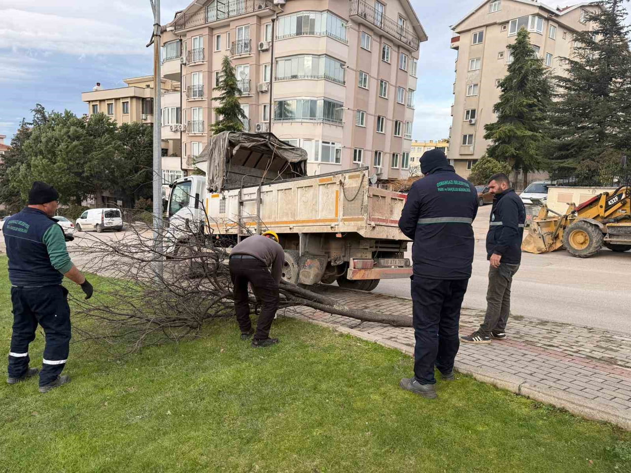 BURSA GENELİNDE DÜN SABAH SAATLERİ İTİBARİYLE ETKİSİNİ GÖSTEREN ŞİDDETLİ LODOS ÇOK SAYIDA AĞACI...