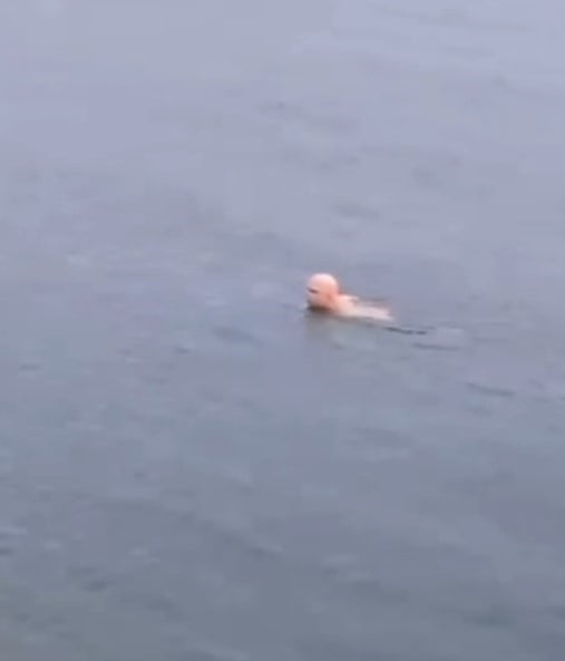 BURSA’NIN MUDANYA İLÇESİNDE DONDURUCU SOĞUKTA YAŞANAN SIRA DIŞI BİR OLAY, GÖRENLERİ HAYRETE...