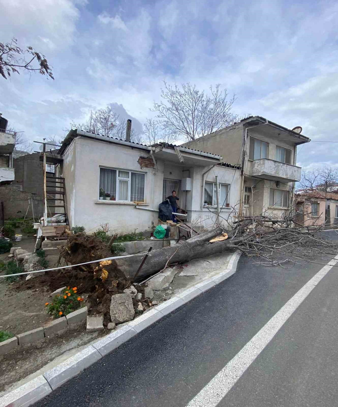 ÇANAKKALE'NİN GELİBOLU İLÇESİNDE ETKİLİ OLAN LODOS FIRTINASI NEDENİYLE BİR AĞAÇ KÖKÜNDEN SÖKÜLEREK...