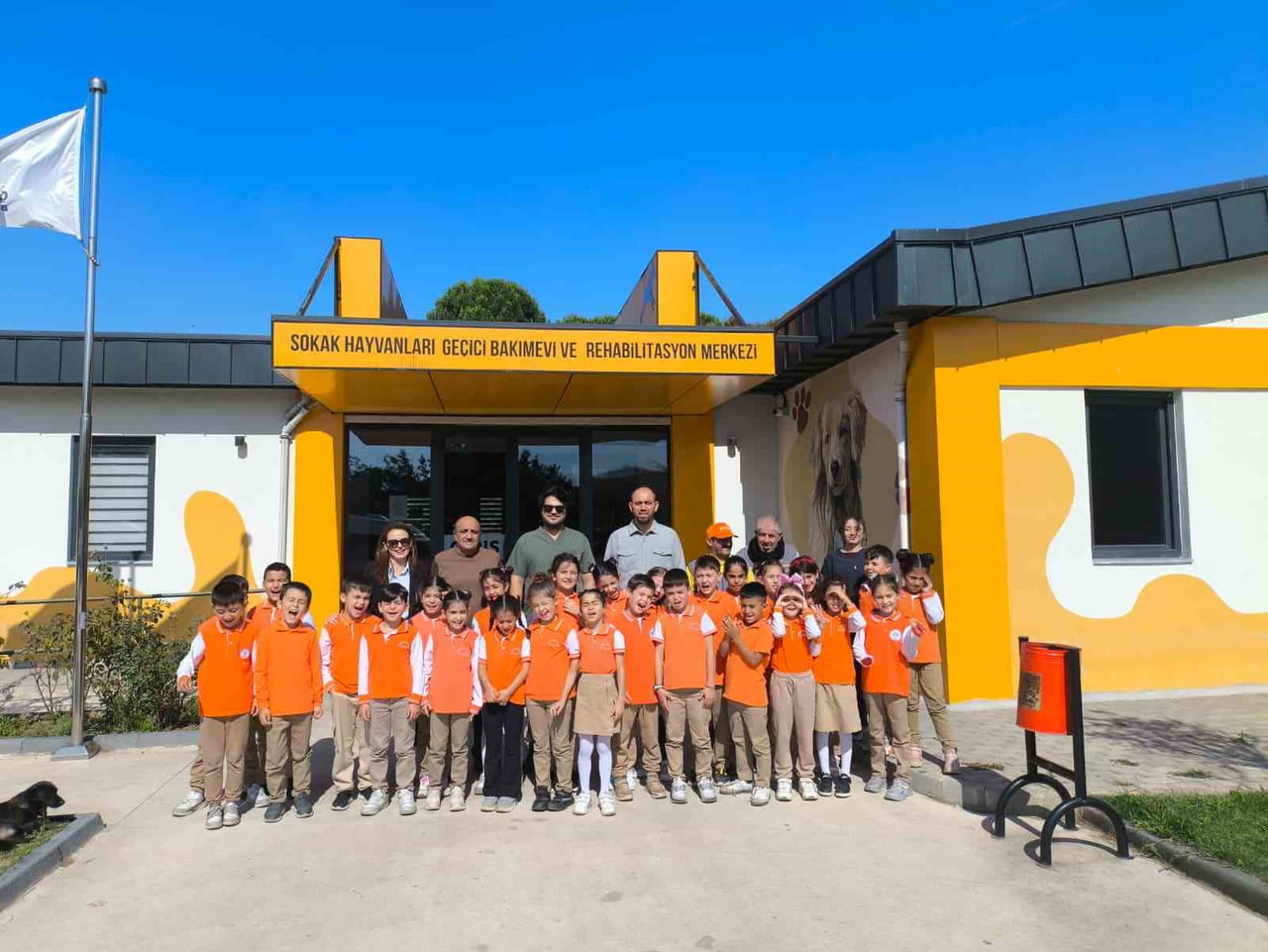 ÇAYIROVA BELEDİYESİ VETERİNER İŞLERİ MÜDÜRLÜĞÜ'NE BAĞLI SOKAK HAYVANLARI BAKIM EVİ VE...