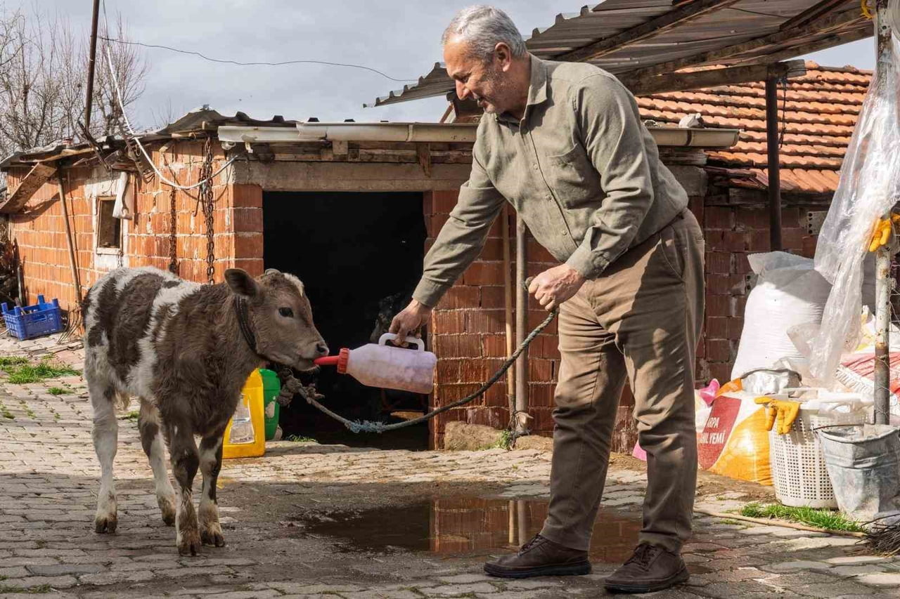 ÇİFTÇİYE BUZAĞI KİTİ VE DEZENFEKTAN DESTEĞİ