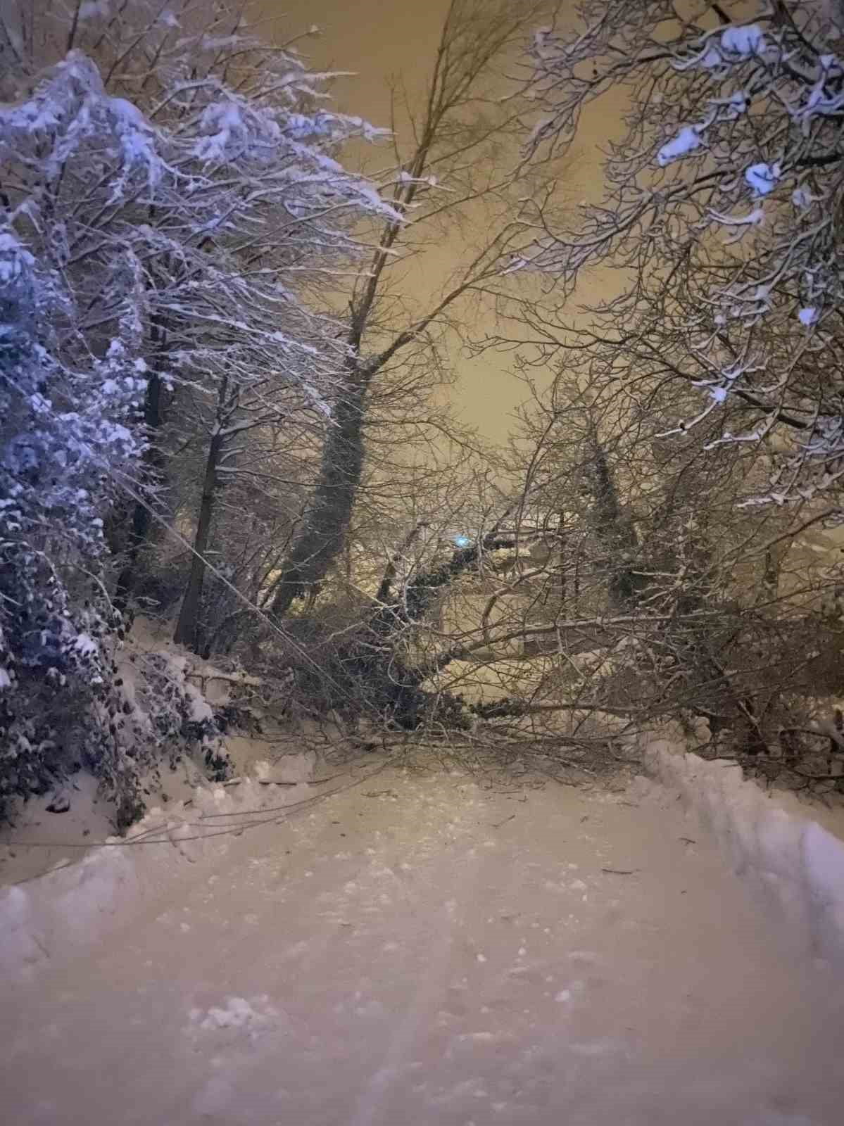 CVR SİNOP’TA YOLA AĞAÇ DEVRİLDİ (FOTOĞRAFLI) MURAT ÇALIŞKAN SİNOP (İHA) - SİNOP’UN TÜRKELİNE BAĞLI...