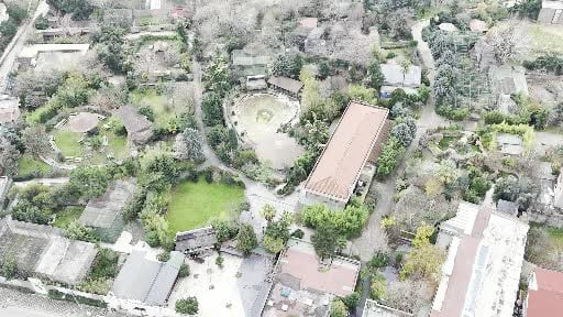 Darıca Hayvanat Bahçesi kapandı, hayvanlar farklı illere nakledildi