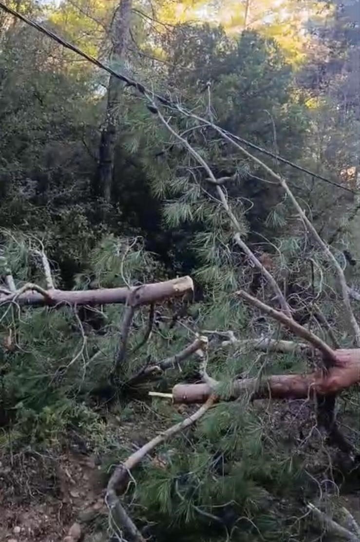 DENİZLİ’NİN BULDAN İLÇESİNDE ETKİLİ OLAN FIRTINA NEDENİYLE DEVRİLEN ÇAM VE KAVAK AĞAÇLARI YOLU...