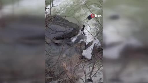 Dere içerisinde mahsur kalan köpek belediye ekiplerince kurtarıldı