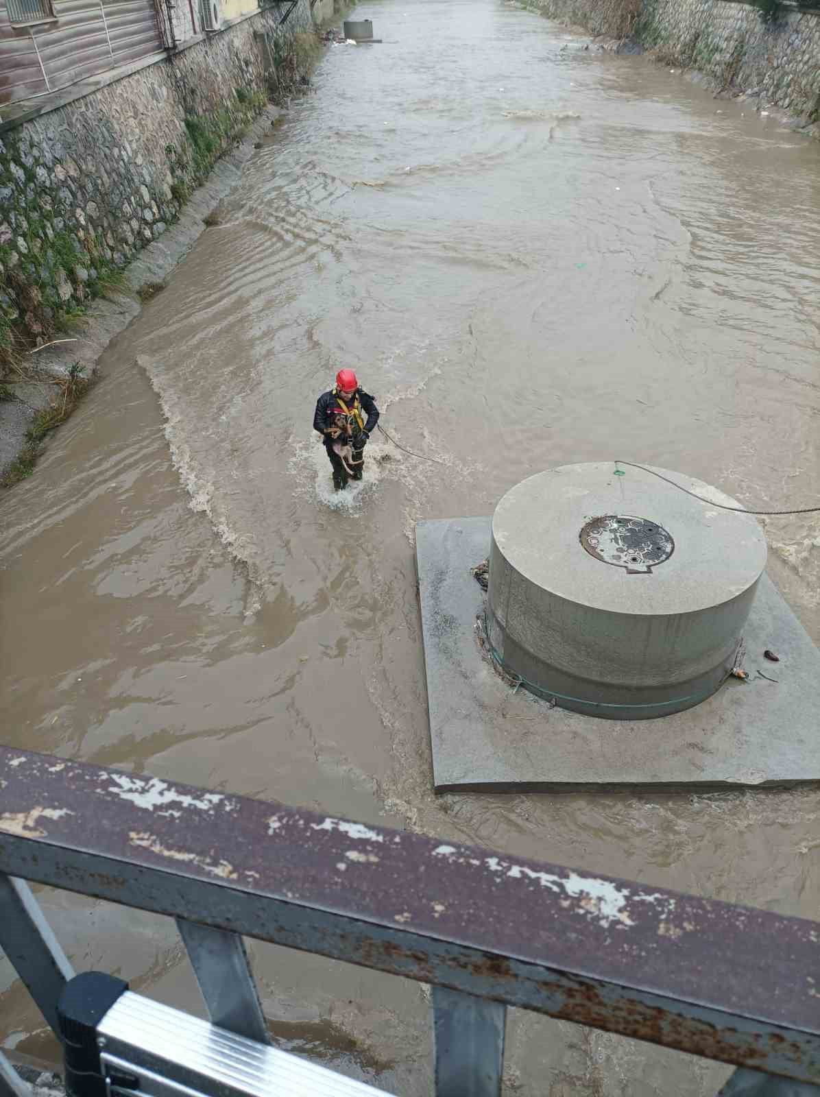 DEREYE DÜŞEN KÖPEK İTFAİYE EKİPLERİ TARAFINDAN KURTARILDI