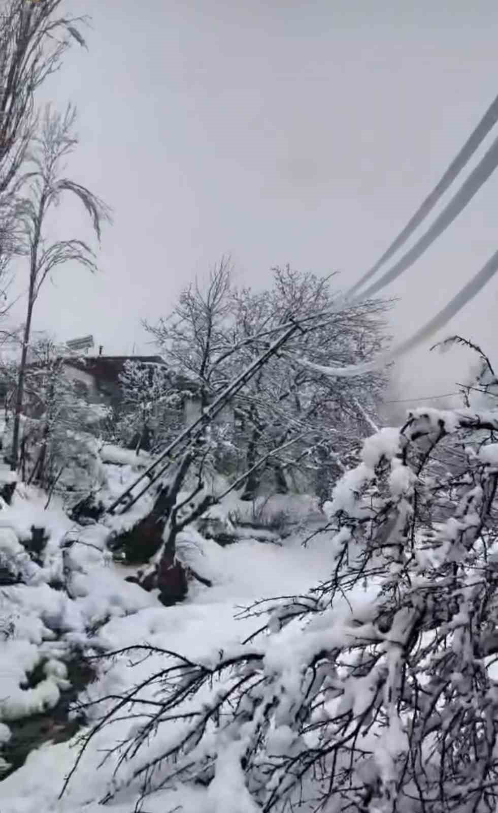 DİYARBAKIR’IN ÇÜNGÜŞ İLÇESİNDE YOĞUN KAR YAĞIŞI NEDENİ İLE ELEKTRİK DİREKLERİ...