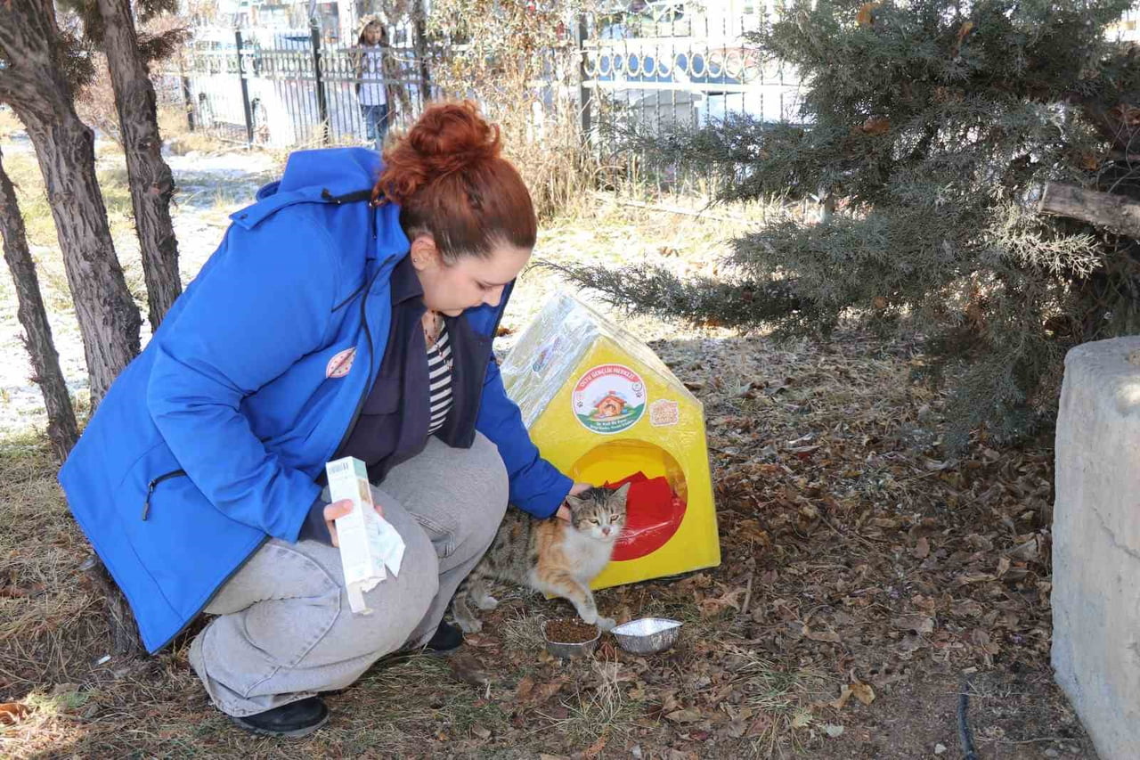DOĞU ANADOLU BÖLGESİ’Nİ ETKİSİ ALTINA ALAN SOĞUK HAVA KOŞULLARI NEDENİYLE OLTU’DA SOKAK HAYVANLARI...