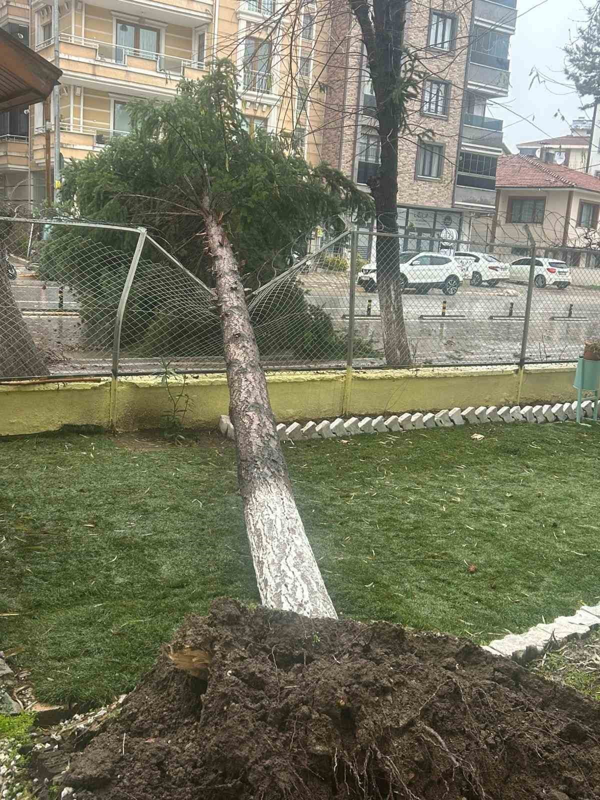 DURSUNBEY'DE FIRTINA AĞAÇLARI VE ÇATILARI UÇURDU