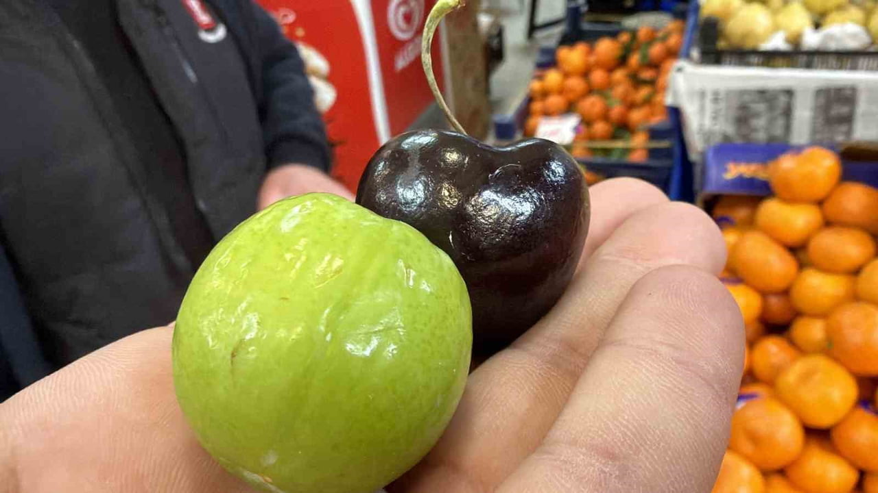 DÜZCE'DE HAMİLELER İÇİN ÖZEL OLARAK SİNGAPUR'DAN GETİRİLEN MEVSİM DIŞI MEYVELER, YOĞUN TALEP...