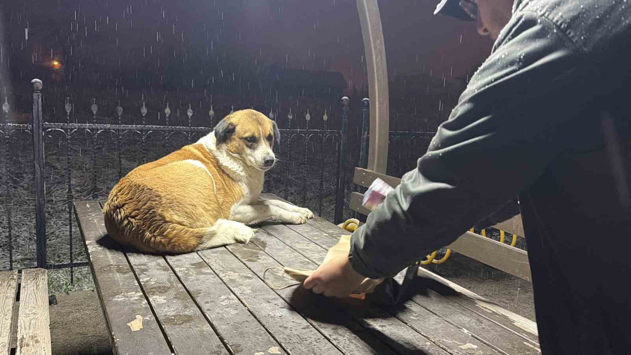 DÜZCE’DE HABER NÖBETİ İÇİN YOLLARDA OLAN GAZETECİLER, KAR YAĞIŞI NEDENİYLE YİYECEK BULMAKTA ZORLUK...