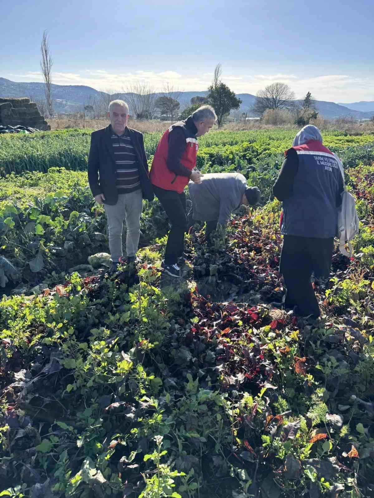 EFELER İLÇE TARIM VE ORMAN MÜDÜRLÜĞÜ EKİPLERİ, BALTAKÖY MAHALLESİ’NDE KİMYASAL GÜBRE KULLANILMADAN...