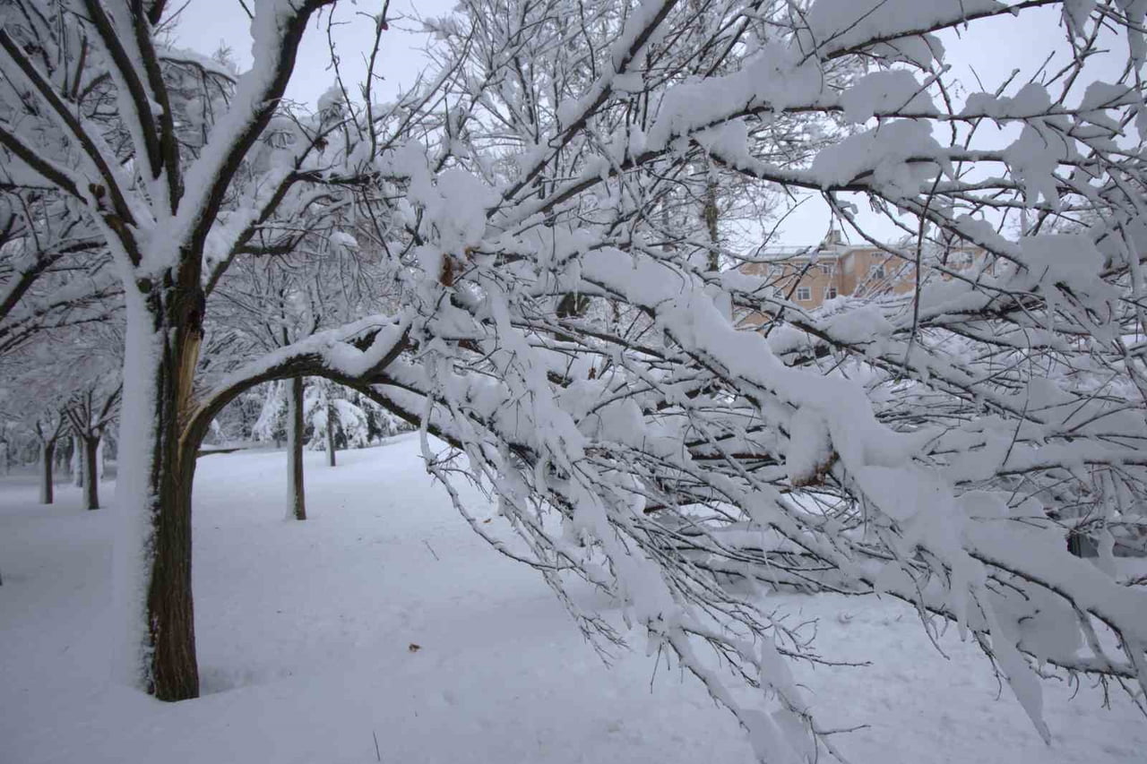ELAZIĞ’DA ETKİSİNİ ARTIRAN YOĞUN KAR YAĞIŞI SONRASI HARPUT MAHALLESİ’NDE KARIN AĞIRLIĞINA...