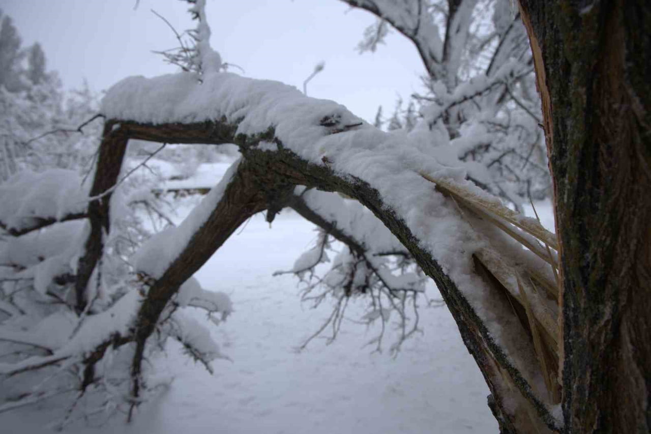 ELAZIĞ’DA ETKİSİNİ ARTIRAN YOĞUN KAR YAĞIŞI SONRASI HARPUT MAHALLESİ’NDE KARIN AĞIRLIĞINA...