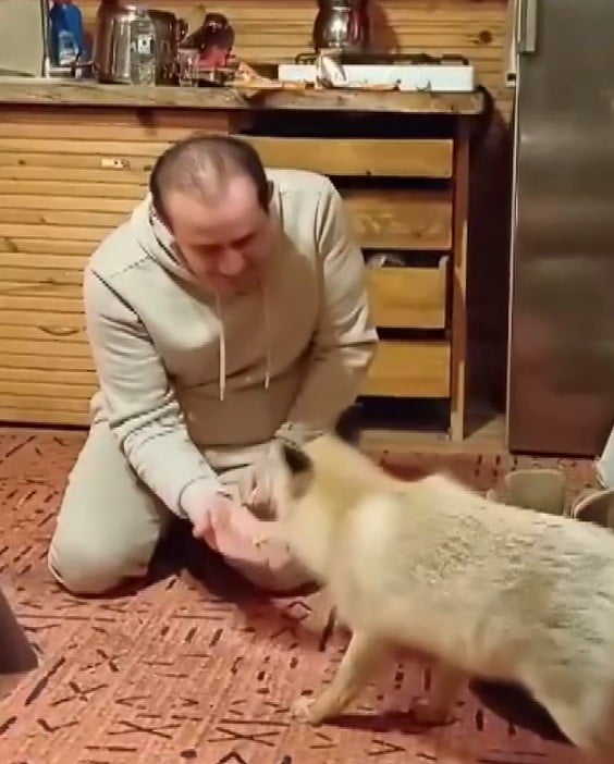 ERZİNCAN’DA İLGİNÇ DOSTLUK: TİLKİYİ EVİNDE ELİYLE BESLİYOR