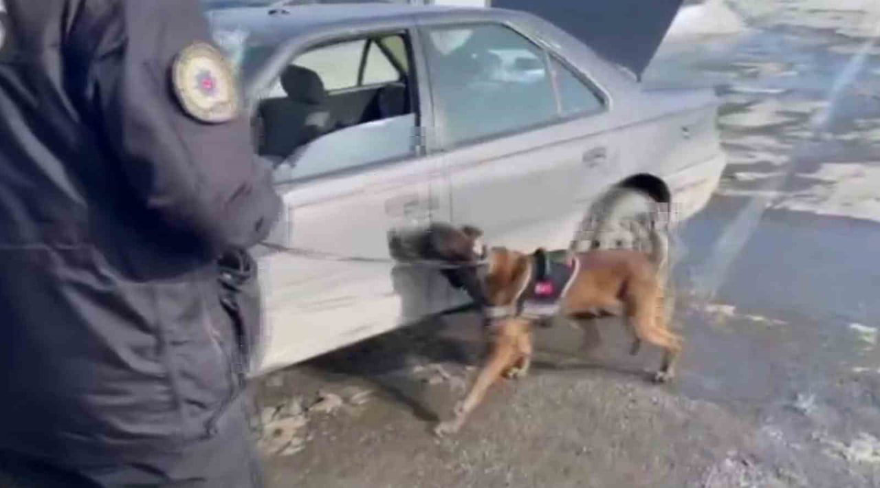 ERZURUM POLİSİ UYUŞTURUCU VE UYUŞTURUCU TACİRLERİNE YÖNELİK OPERASYONLARINDA HIZ KESMİYOR. SON...