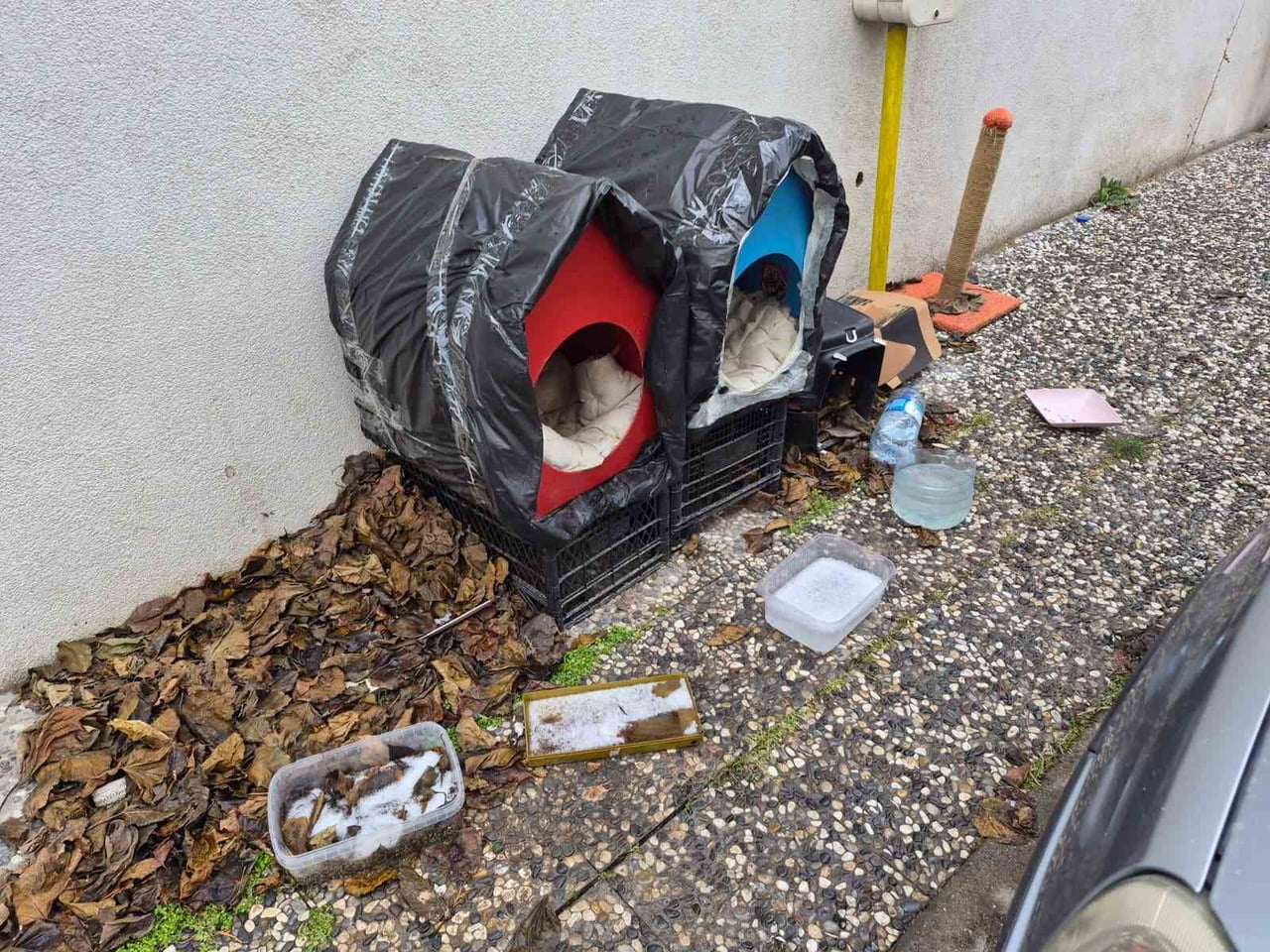 ESKİŞEHİR'DE DONDURUCU SOĞUKLAR ETKİSİNİ SÜRDÜRÜRKEN, ŞİRİNTEPE MAHALLESİ SAKİNLERİ SOKAK...