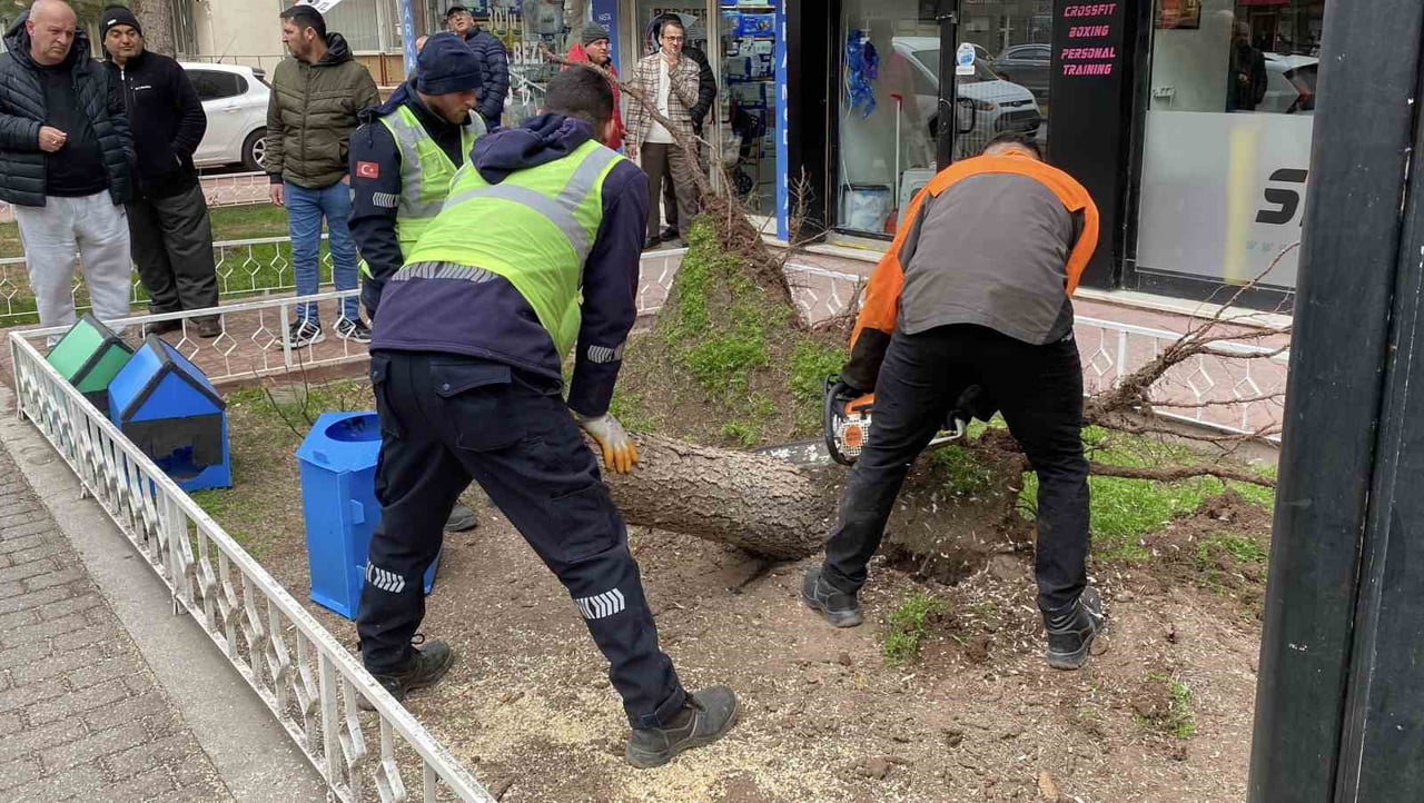 ESKİŞEHİR'DE ETKİLİ OLAN ŞİDDETLİ RÜZGAR VE FIRTINA SONUCUNDA GERÇEKLEŞEN AĞAÇ DEVRİLMESİ OLAYLARI...