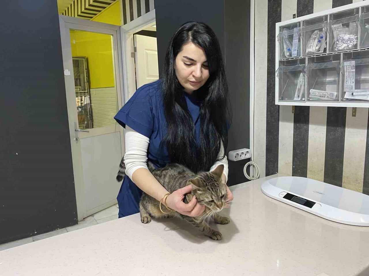 ESKİŞEHİR'İN SOĞUK KIŞ AYLARINDA SOKAK VE EV HAYVANLARININ SAĞLIĞINI KORUMAK İÇİN ALINMASI GEREKEN...