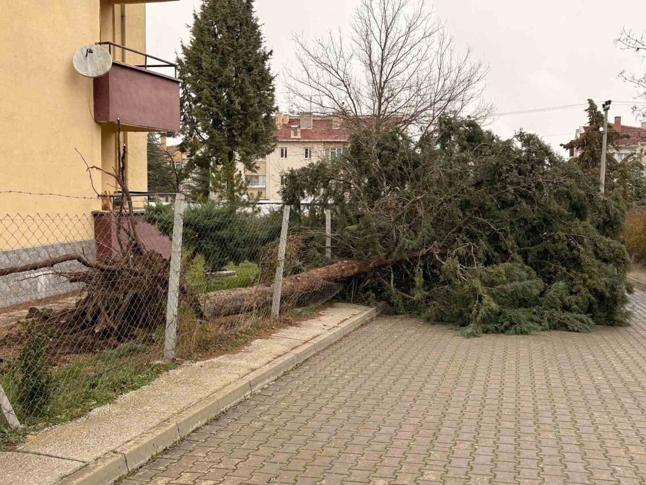 ESKİŞEHİR’DE MEYDANA GELEN FIRTINA SONUCUNDA, 75. YIL MAHALLESİ’NDE ÇEVRE ZARAR GÖRDÜ.