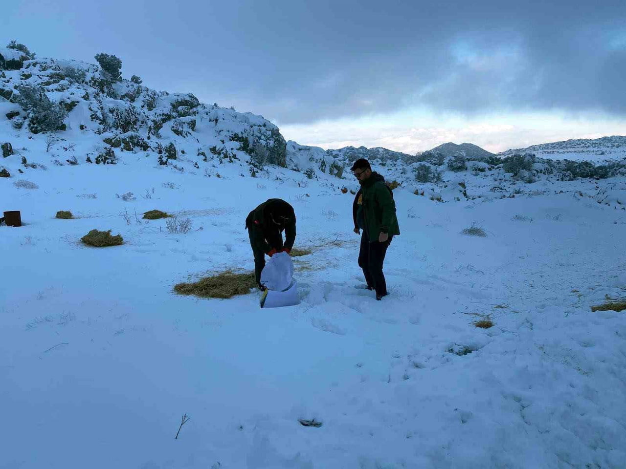 GAZİANTEP'TE KARLI HAVADA AÇ KALAN YABAN HAYVANLARI İÇİN DOĞAYA YEM BIRAKILDI