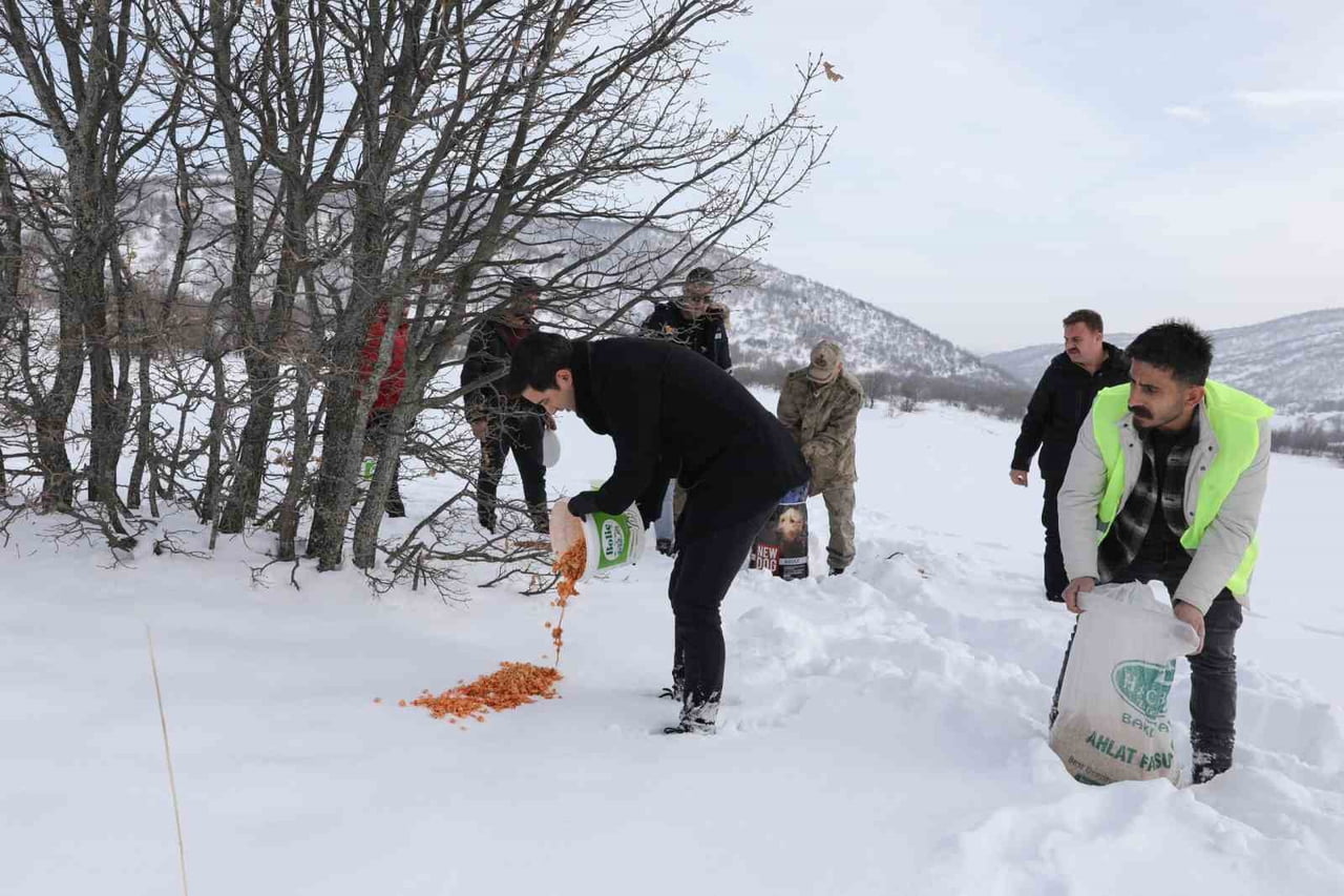 GENÇ’TE YABAN HAYVANLARI İÇİN DOĞAYA YEM BIRAKILDI