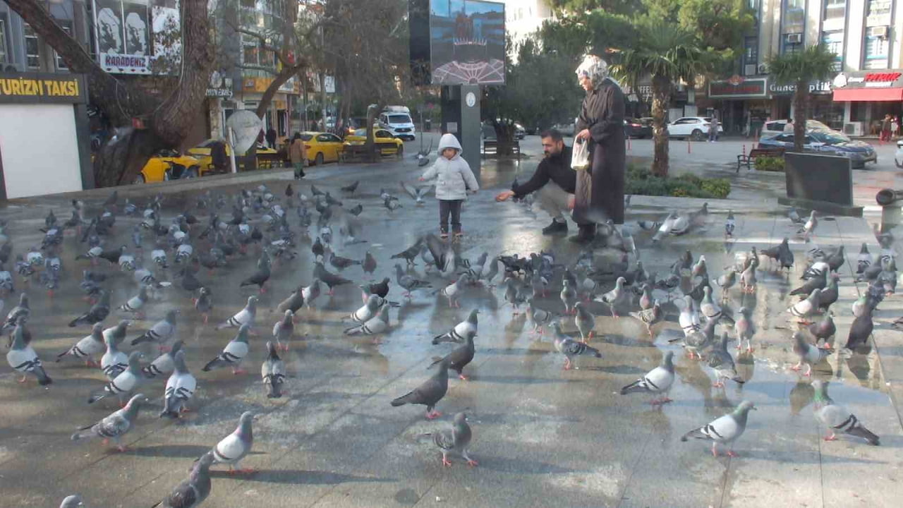 GÜVERCİNLERE YEM ATTILAR