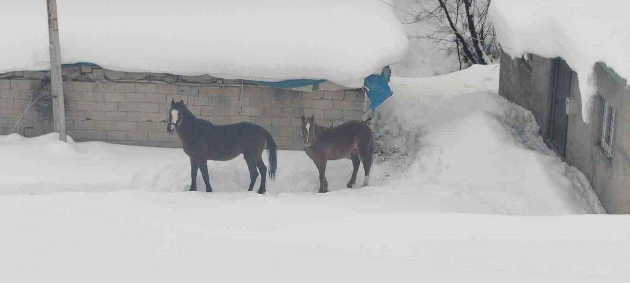 HAKKARİ'NİN YÜKSEKOVA İLÇESİNDE KIŞIN KİMSENİN İKAMET ETMEDİĞİ VE KAR NEDENİYLE YOLU KAPANAN KÖYDE...