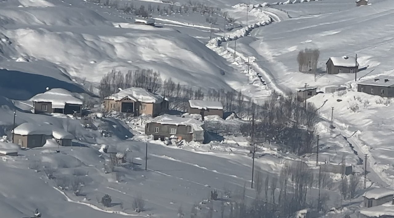 HAKKARİ'NİN YÜKSEKOVA TARIM VE ORMAN MÜDÜRLÜĞÜ, AĞIR KIŞ ŞARTLARI NEDENİYLE AÇ KALAN KURT...