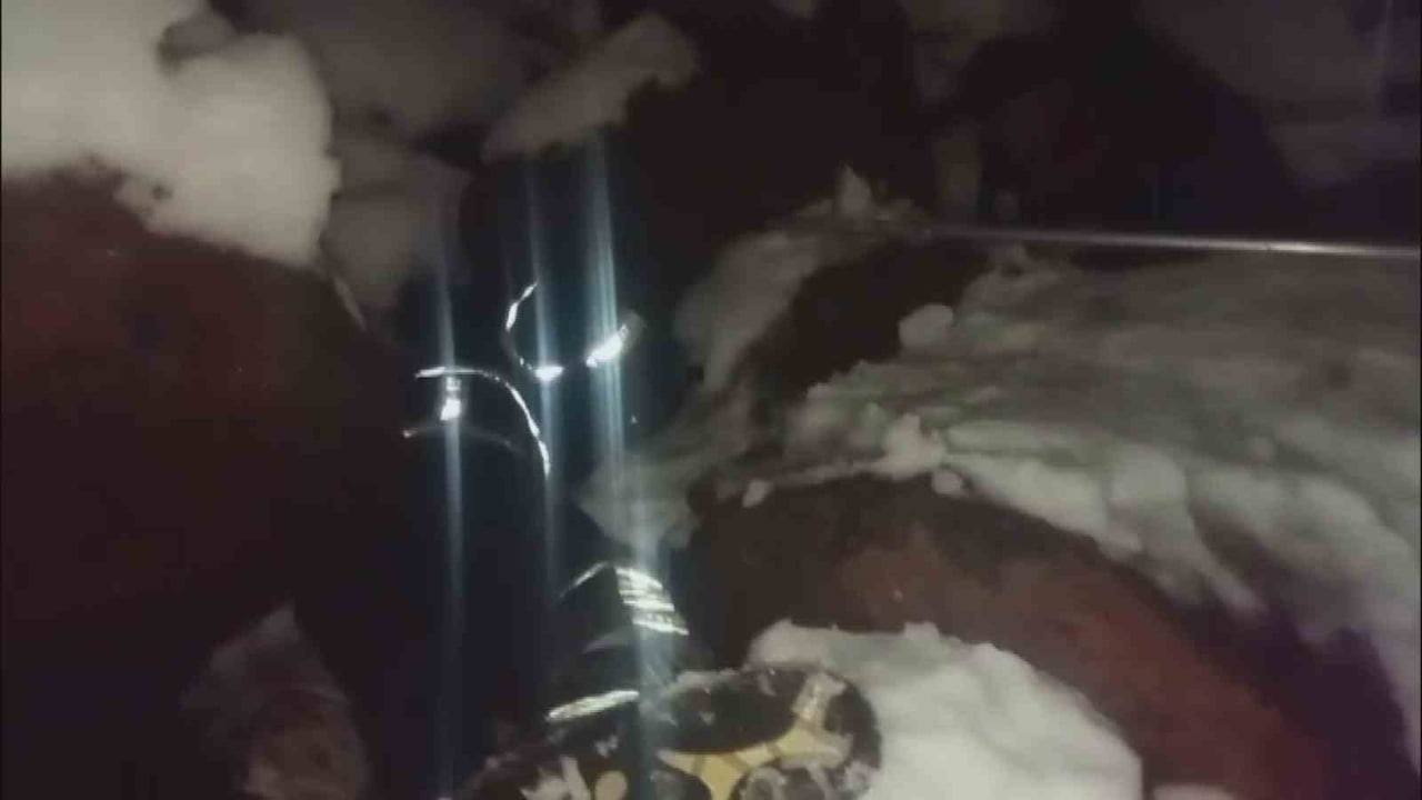 HATAY’DA DONDURUCU SOĞUKTA KARLA KAPLI KAYALARIN ALTINDA MAHSUR KALAN YAVRU KÖPEKLER İTFAİYE...