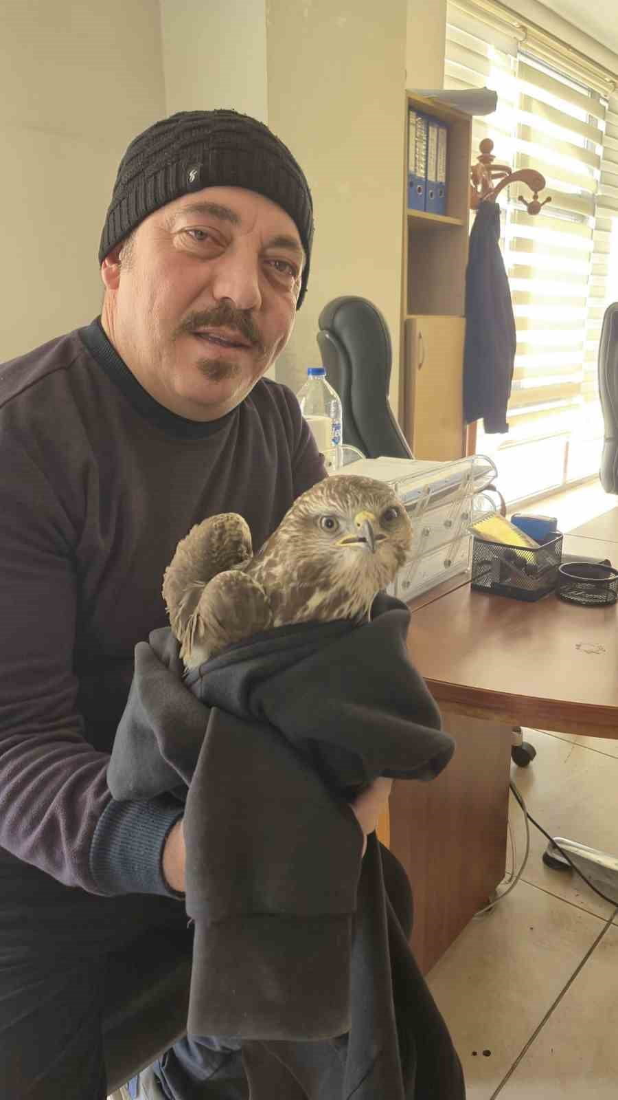 HATAY’DA VATANDAŞ TARAFINDAN YARALI HALDE BULUNAN ŞAHİN EKİPLERE TESLİM EDİLDİ.