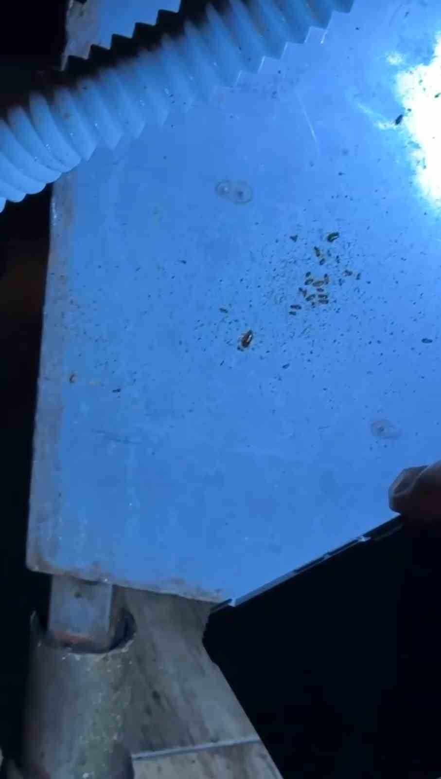 HATAY (İHA) - HATAY’IN İSKENDERUN İLÇESİNDE BULUNAN PRİMEMALL ALIŞVERİŞ MERKEZİ’NDE ZABITA...